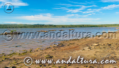 Reserva Natural Laguna del Gosque - Acceso a Contenidos -