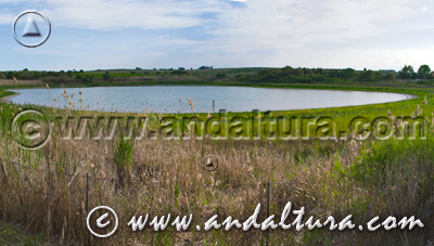 Reserva Natural Laguna del Rincón - Acceso a Contenidos -