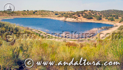 Reserva Natural Lagunas de Archidona - Acceso a Contenidos -