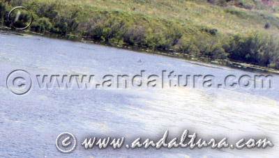 Reserva Natural Lagunas de las Canteras y el Tejón - Acceso a Contenidos -