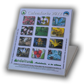PDF Calendarios para Cajas de CD de la Flora de Andalucía para imprimir a Alta Calidad