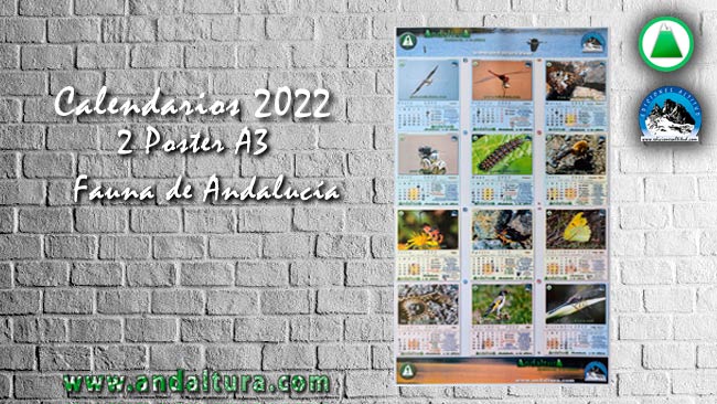 Modelos de Calendarios en formato A3 de Andaltura de Fauna de Andalucía
