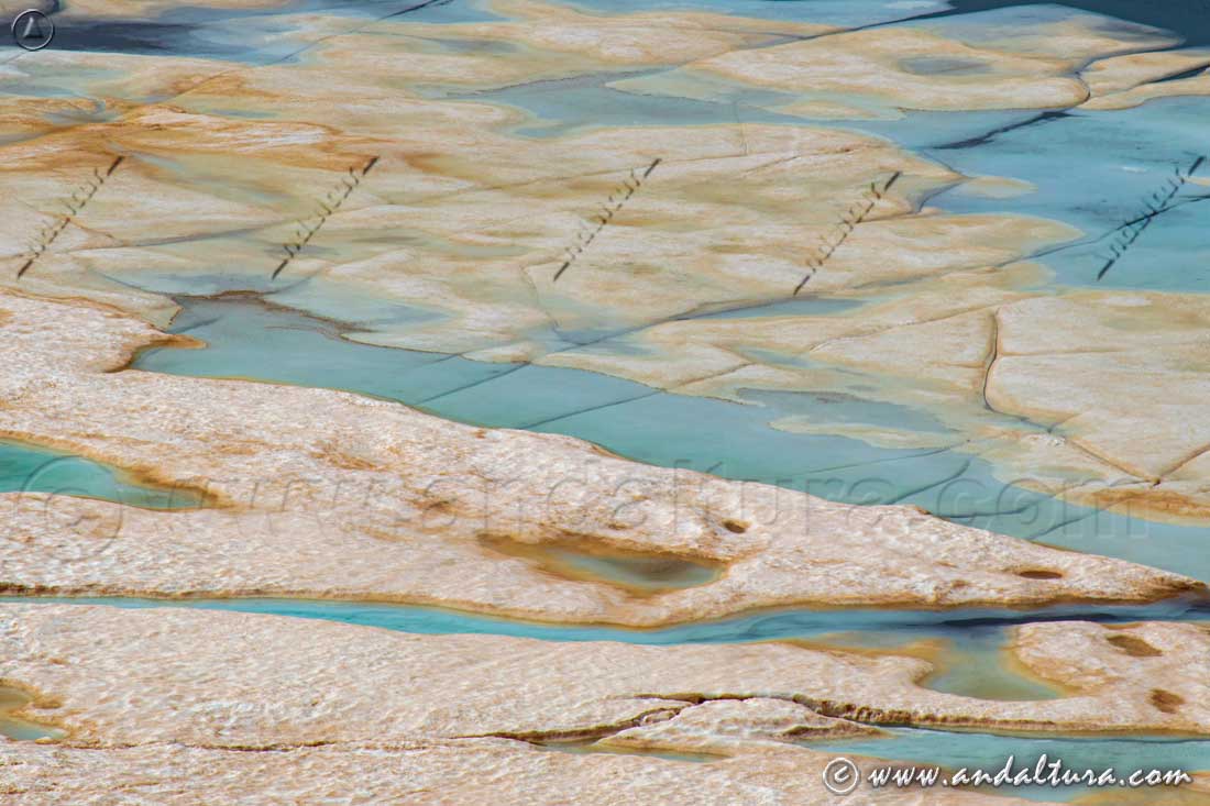 Detalle del deshielo en la Laguna de las Yeguas