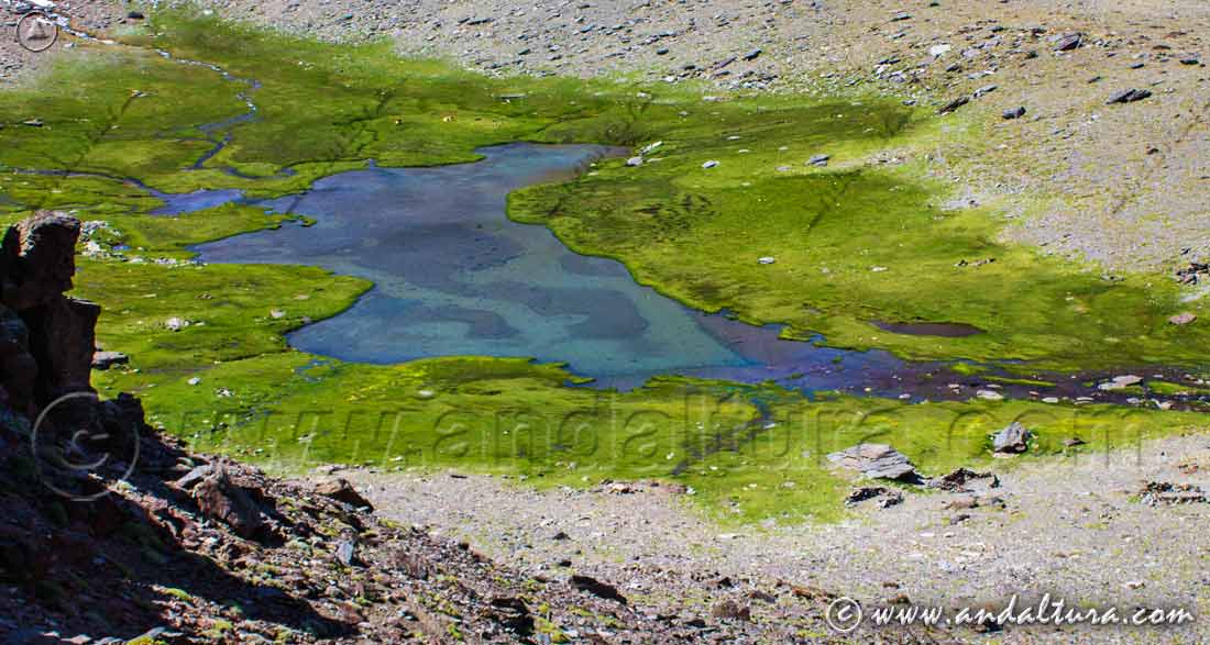 Laguna hondera la más baja y grande de las láminas de aguas de la Cañada de Siete Lagunas