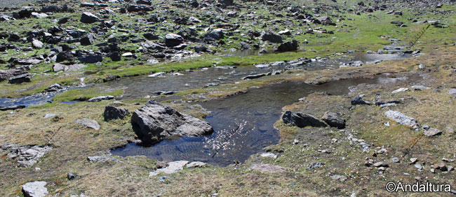 Lagunillos altos en la Cuenca Glaciar del Arroyo de Cobatillas
