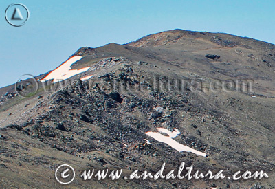 Tresmiles de Sierra Nevada - Sector Suroccidental: Pico del Tajo de los Machos