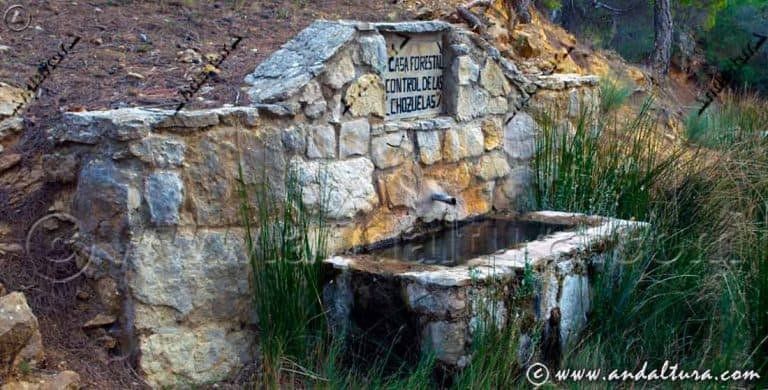 fuentes-y-manantiales-de-andaluc-a-agua-en-la-naturaleza