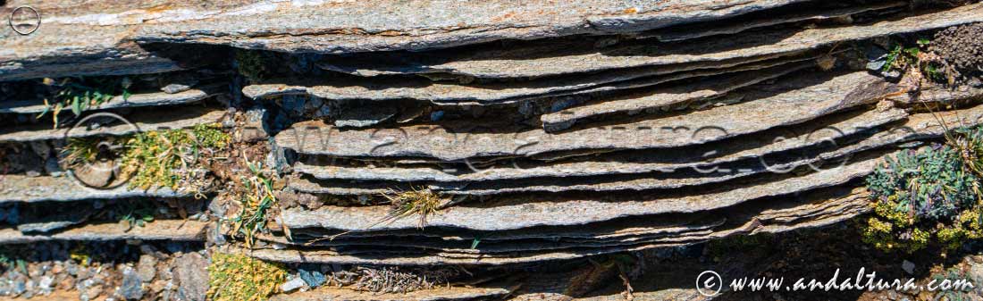 Detalle de rocas en el Espacio Natural Sierra Nevada