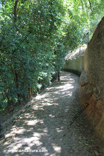 Camino por el Bosque de la Sabika desde Torres Bermejas