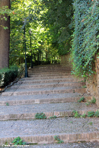 Camino por el Bosque de la Sabika, escaleras de la derecha