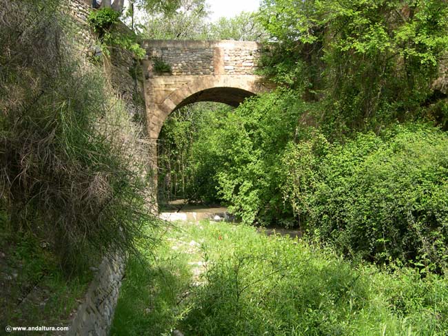 Puente sobre el río Darro
