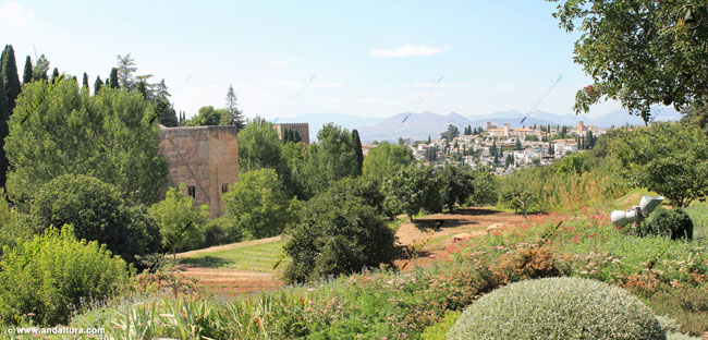 Torre de la Cautiva y Albaicín desde las Huertas de la Almunia del Generalife
