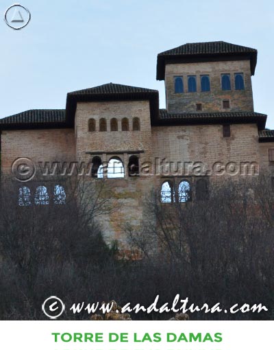 Torres de la Alhambra: Accesos a la Torre de las Damas