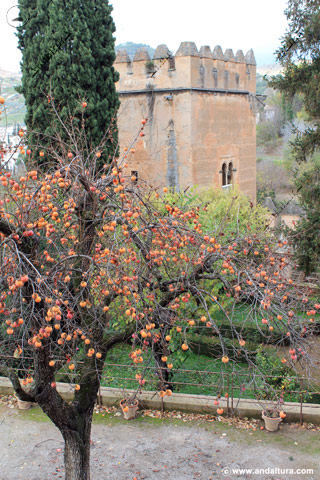 Torre de los Picos desde el Paseo de las Torres - Visita del Partal de la Alhambra
