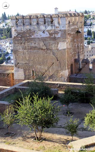 Palacio de la Madraza de los Príncipes y Torre de Muhammad o de las Gallinas