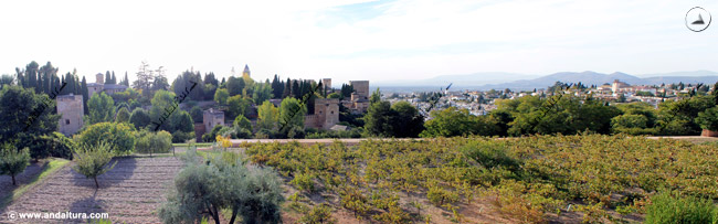 Torres de la Alhambra y el Albaicín al fondo, desde las Huertas del Generalife