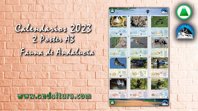 Modelo del Calendario del 2023 en formato A3 sobre la Fauna de Andalucía