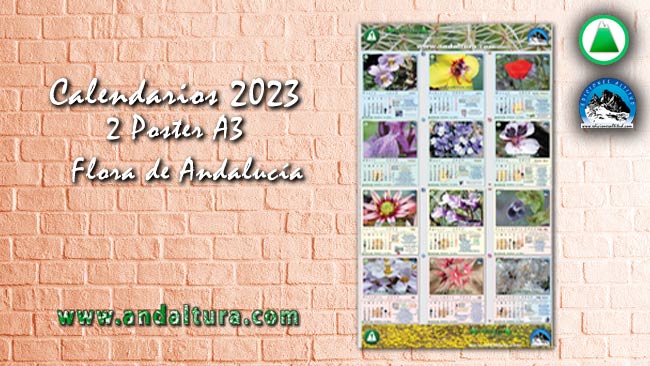 Modelo del Calendario del 2023 en formato A3 sobre la Flora de Andalucía
