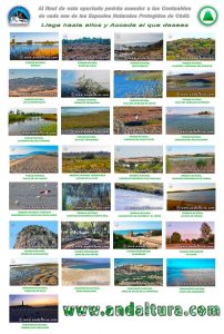 Catalogo de Espacios Naturales Protegidos de Cádiz