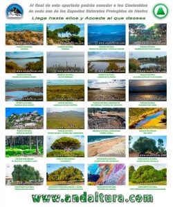 Catalogo de Espacios Naturales Protegidos de Huelva