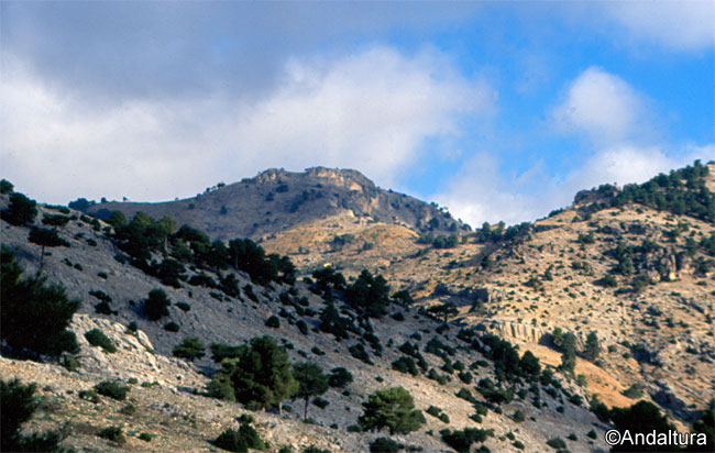 Ruta de Senderismo al Cerro del Buitre