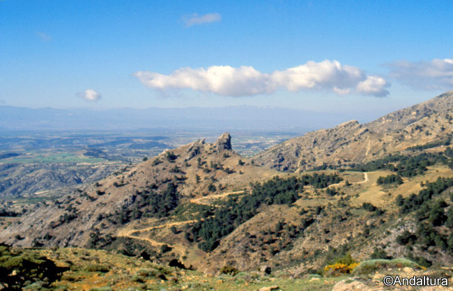 Collado del Laude - Inicio de la Ruta al Cerro del Tejo y del Buitre