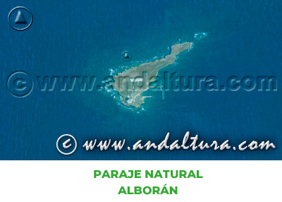 Espacios Naturales de Almería: Paraje Natural Alborán