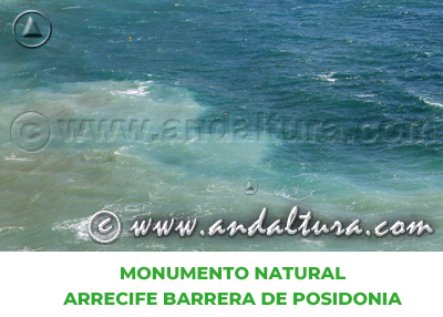 Espacios Naturales de Almería: Monumento Natural Arrecife Barrera de Posidonia