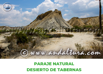 Espacios Naturales de Almería: Paraje Natural Desierto de Tabernas