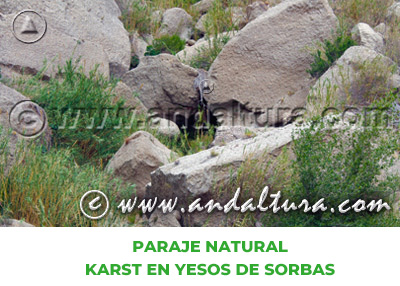 Espacios Naturales de Almería: Paraje Natural Karst en Yesos de Sorbas