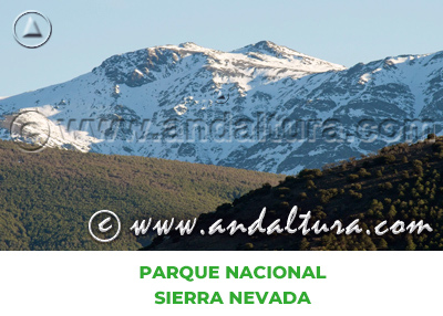 Espacios Naturales de Almería: Parque Nacional Sierra Nevada
