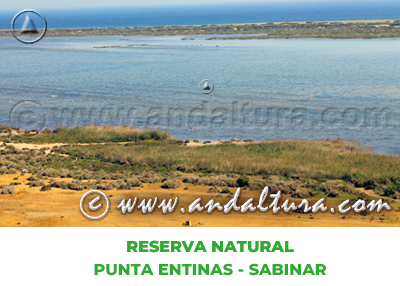 Espacios Naturales de Almería: Reserva Natural Punta Entinas - Sabinar