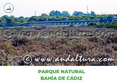 Espacios Naturales de Cádiz: Parque Natural Bahía de Cádiz