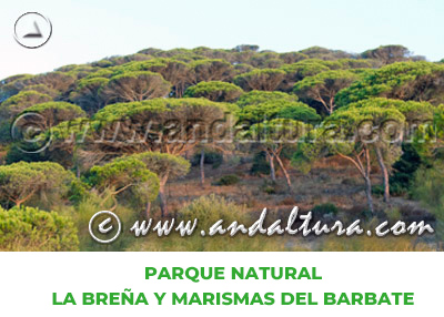 Espacios Naturales de Cádiz: Parque Natural La Breña y Marismas del Barbate