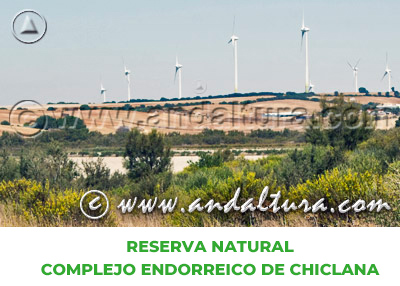 Espacios Naturales de Cádiz: Reserva Natural Complejo Endorreico de Chiclana