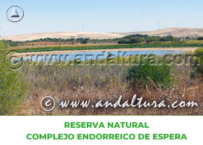 Espacios Naturales de Cádiz: Reserva Natural Complejo Endorreico de Espera