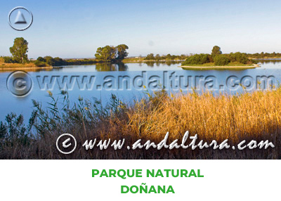 Espacios Naturales de Cádiz: Parque Natural Doñana