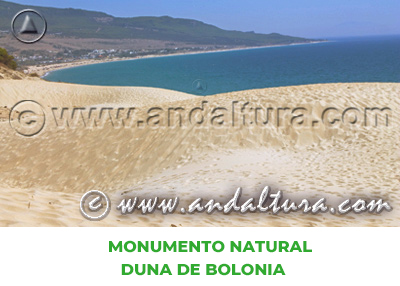Espacios Naturales de Cádiz: Monumento Natural Duna de Bolonia