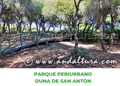 Espacios Naturales de Cádiz: Parque Periurbano Duna de San Antón