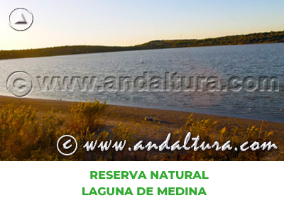 Espacios Naturales de Cádiz: Reserva Natural Laguna de Medina