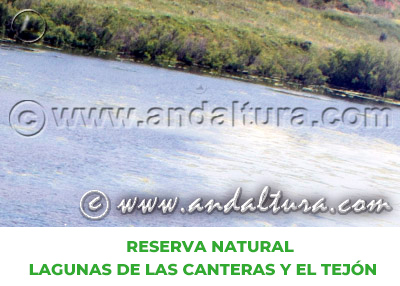 Espacios Naturales de Cádiz: Reserva Natural Lagunas de las Canteras y el Tejón