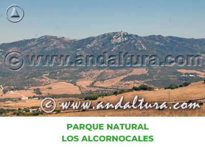Espacios Naturales de Cádiz: Parque Natural Los Alcornocales