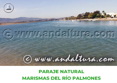 Espacios Naturales de Cádiz: Paraje Natural Marismas del río Palmones