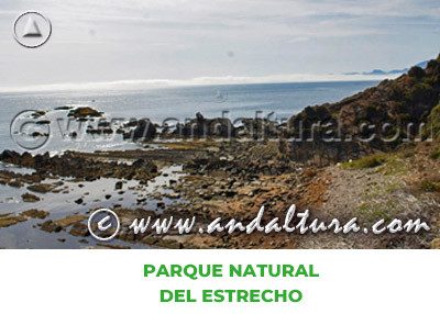 Espacios Naturales de Cádiz: Parque Natural del Estrecho