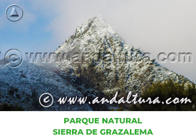 Espacios Naturales de Cádiz: Parque Natural Sierra de Grazalema
