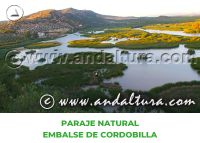 Espacios Naturales de Córdoba: Paraje Natural Embalse de Cordobilla