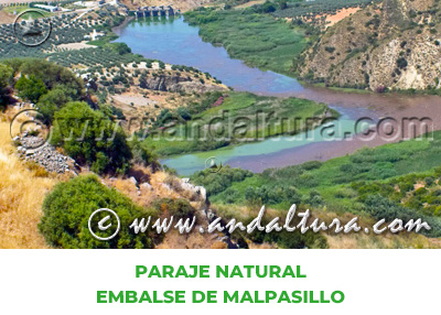 Espacios Naturales de Córdoba: Paraje Natural Embalse de Malpasillo