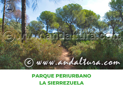 Espacios Naturales de Córdoba: Parque Periurbano La Sierrezuela