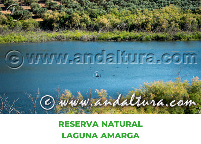 Espacios Naturales de Córdoba: Reserva Natural Laguna Amarga
