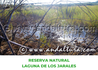 Espacios Naturales de Córdoba: Reserva Natural Laguna de los Jarales
